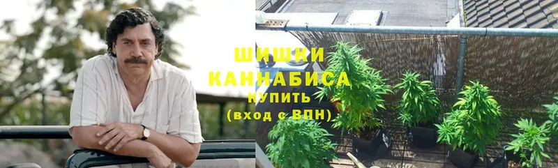 Шишки марихуана Amnesia  KRAKEN зеркало  это наркотические препараты  цены наркотик  Нефтекумск 